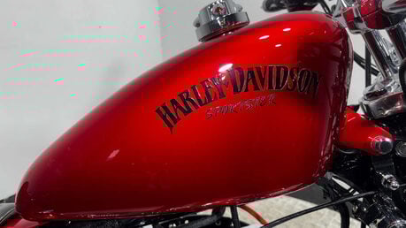 Harley-Davidson Sportster 883 2008 15K SHOW BIKE NEW MOT SERVICED CRUISER A2 19