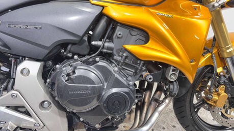 Honda CB 2008 27K NEW MOT VERY CLEAN WARRANTY 600CC 24