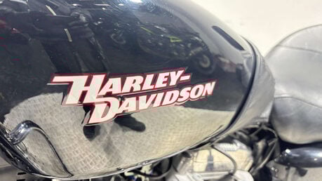 Harley-Davidson Sportster XLH 883 2008 10K GREAT CONDITION SERVICED WARRANTY 883CC A2 16