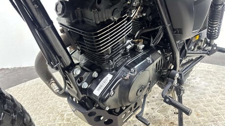 Mutt Akita 125 Roadster/Retro Petrol Manual O-Ring Euro 5 (11 ps) 12