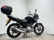 Yamaha YBR 125 2011, 125cc, Only 2K Miles, Superb Condition, MOT Nov 26, Warranty 2