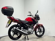 Yamaha YBR 125 2012 12K MOT NOVEMBER 2026 SERVICED LEARNER COMMUTER BIKE 125CC 3
