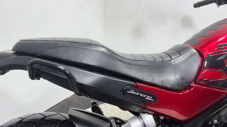 Benelli Leoncino 2019 15K MOT A2 READY 500CC NAKED BIKE WARRANTY 9