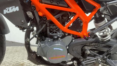 KTM Duke 125 Naked Petrol Manual Euro 5 (15 ps) 19