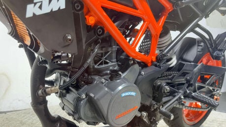 KTM Duke 125 Naked Petrol Manual Euro 5 (15 ps) 14