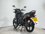 Honda CB 2022 13K PERFECT COMMUTER / LEARNER BIKE 125CC MOT WARRANTY 6