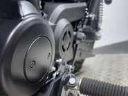 Harley-Davidson Street XG 750 2021 ONLY 235 MILES SERVICED MOT AND WARRANTY A2 BIKE 19