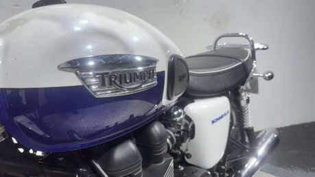 Triumph Bonneville 2014 T100 GREAT CONDITION ONLY 7K ICONIC MODERN CLASSIC 865CC 11