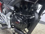 Honda CB GLR125 2015 14K PERFECT LEARNER FIRST BIKE 125CC WARRANTY MOT 29