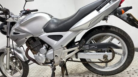 Honda CBF250 2006 SPARES OR REPAIR NON RUNNING PROJECT BIKE 250CC 14