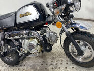 Skyteam TR GORILLA 110 MONKEY TINY BIKE NEW MOT 1K 6