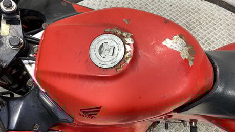 Honda CBR 1989 JELLY MODEL DARING PROJECT BREAKER 600CC 16