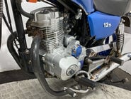 Lexmoto Vixen 125 2015 NON RUNNING CRUISER PROJECT BIKE 125CC 24