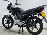 Lexmoto ZSF 2016 NON RUNNING PROJECT BIKE 125CC 3