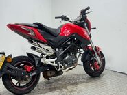 Benelli Tornado TNT MINI BIKE 9K 2020 RUNNING PROJECT 125CC 6