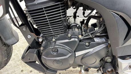Rieju Strada 8
