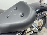 Pioneer XF 125 TORRO PIONEER XF 125 2017 11K PROJECT 13