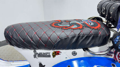 Ajs MODENA 2015 2K CUSTOM PAINT SCOOTER 50CC RUNNING PROJECT 20