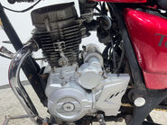 Pioneer XF 125 TORRO 21K NON RUNNING PROJECT BIKE CRUISER BIKE 125CC 8