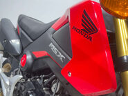 Honda MSX125 2015 MK1 GOOD RUNNING PROJECT BIKE 125CC LEARNER MINI PIT BIKE 12