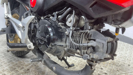 Honda MSX125 2015 MK1 GOOD RUNNING PROJECT BIKE 125CC LEARNER MINI PIT BIKE 13