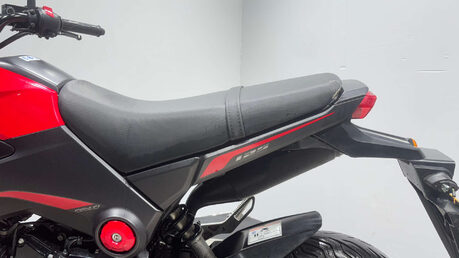 Honda MSX125 2015 MK1 GOOD RUNNING PROJECT BIKE 125CC LEARNER MINI PIT BIKE 14