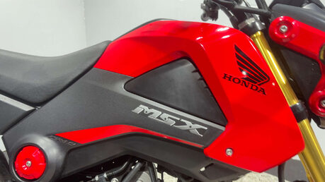 Honda MSX125 2015 MK1 GOOD RUNNING PROJECT BIKE 125CC LEARNER MINI PIT BIKE 15