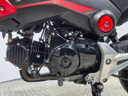 Honda MSX125 2015 MK1 GOOD RUNNING PROJECT BIKE 125CC LEARNER MINI PIT BIKE 29