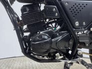 Lexmoto Tempest 2024 ONLY 2K 1 OWNER BIKE LONG MOT LEARNER BIKE 125CC SCRAMBLER 12