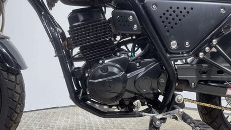 Lexmoto Tempest 2024 ONLY 2K 1 OWNER BIKE LONG MOT LEARNER BIKE 125CC SCRAMBLER 12