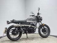 Lexmoto Tempest 2024 ONLY 2K 1 OWNER BIKE LONG MOT LEARNER BIKE 125CC SCRAMBLER 2