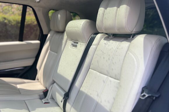 Land Rover Range Rover 4.4 SDV8 AUTOBIOGRAPHY AUTO 29