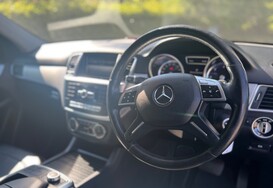 Mercedes-Benz M Class ML250 2.1D BLUETEC SPECIAL EDITION AUTO 17