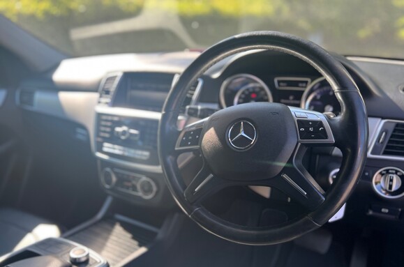 Mercedes-Benz M Class ML250 2.1D BLUETEC SPECIAL EDITION AUTO 17