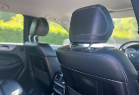 Mercedes-Benz M Class ML250 2.1D BLUETEC SPECIAL EDITION AUTO 19