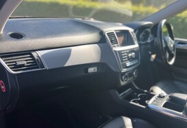 Mercedes-Benz M Class ML250 2.1D BLUETEC SPECIAL EDITION AUTO 27