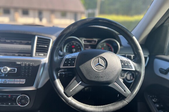 Mercedes-Benz M Class ML250 2.1D BLUETEC SPECIAL EDITION AUTO 29