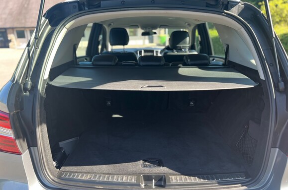 Mercedes-Benz M Class ML250 2.1D BLUETEC SPECIAL EDITION AUTO 32