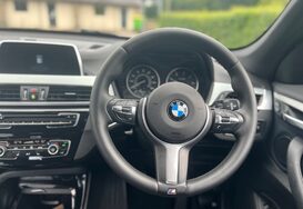 BMW X1 X1 2.0 SDRIVE18D M SPORT 31