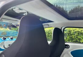 Smart Forfour 1.0 PROXY 5 DOOR 28