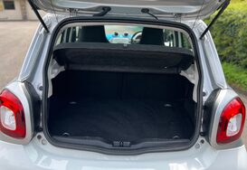 Smart Forfour 1.0 PROXY 5 DOOR 33