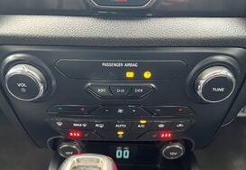 Ford Ranger WILDTRAK ECOBLUE DOUBLE CAB PICKUP AUTO 41