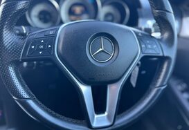 Mercedes-Benz E Class E220 BLUETEC SE AUTOMATIC 42