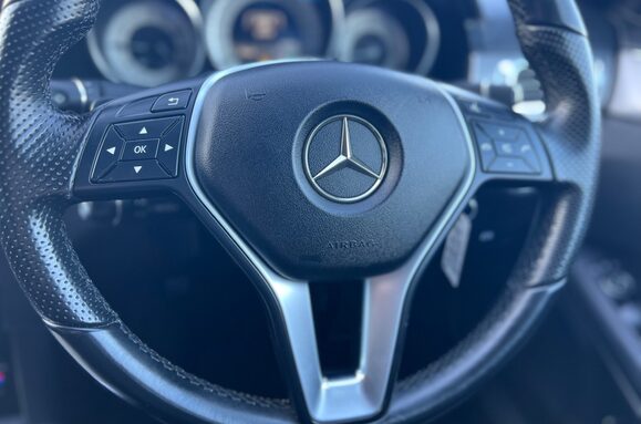 Mercedes-Benz E Class E220 BLUETEC SE AUTOMATIC 42