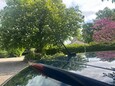 SEAT Ibiza 1.0 S Euro 6 5dr AC 37