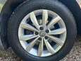 Volkswagen Polo 1.0 TSI SE Euro 6 (s/s) 5dr 36