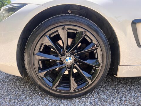 BMW 4 Series 2.0 420d SE Auto Euro 6 (s/s) 5dr 38
