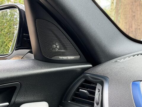 BMW 1 Series 1.5 116d M Sport Shadow Edition Euro 6 (s/s) 5dr 47