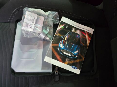 Ford Fiesta ZETEC 38