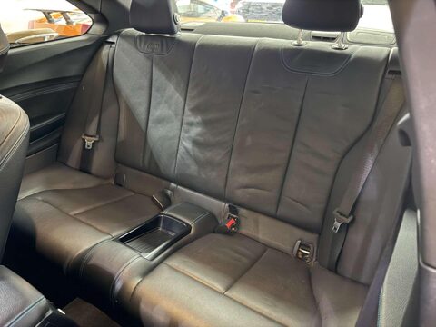 BMW M2 3.0i Coupe 2dr Petrol DCT Euro 6 (s/s) (370 ps) 39